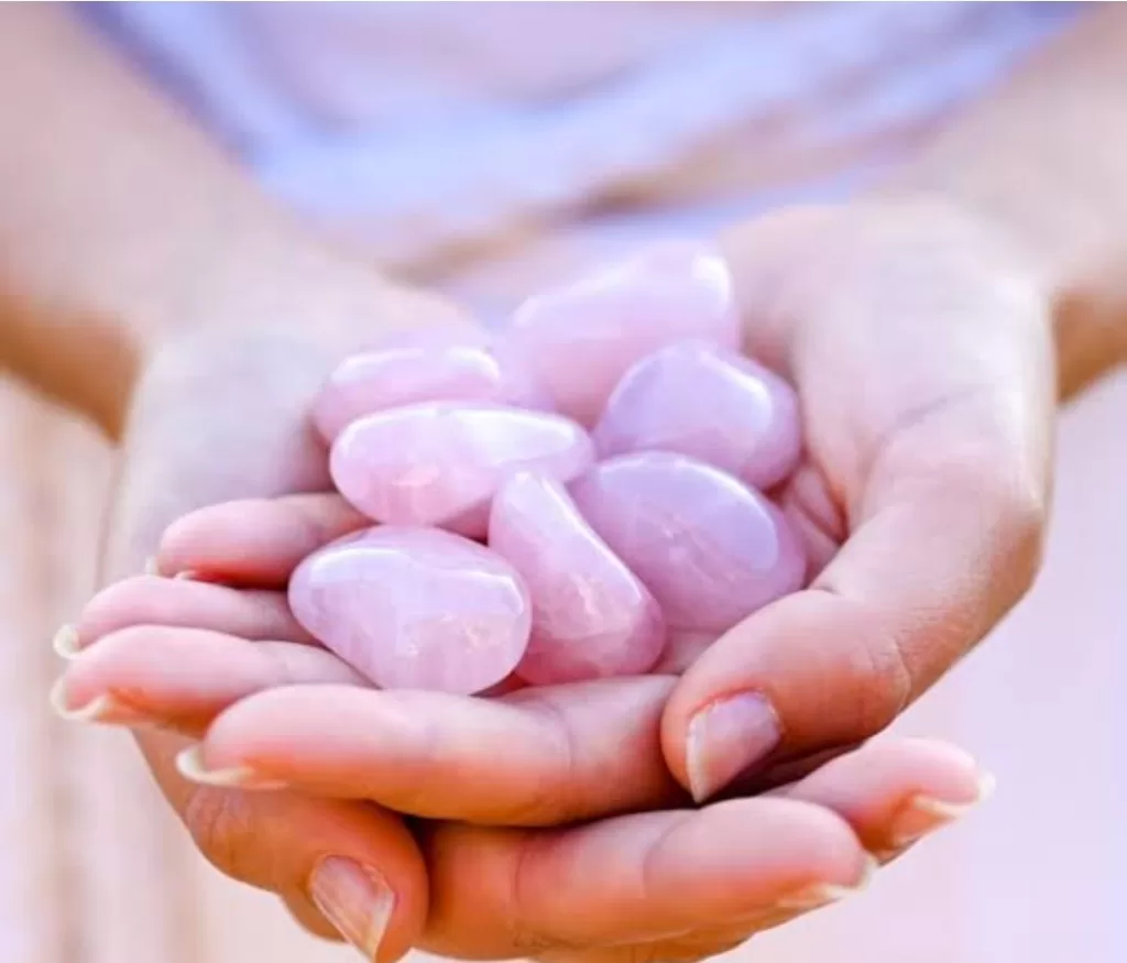 Rentrée scolaire: Végétaliser l'intérieur et porter des pierres précieuses ! 8 - Le Progrès Egyptien Rentrée scolaire: Végétaliser l'intérieur et porter des pierres précieuses ! 7 - Le Progrès Egyptien