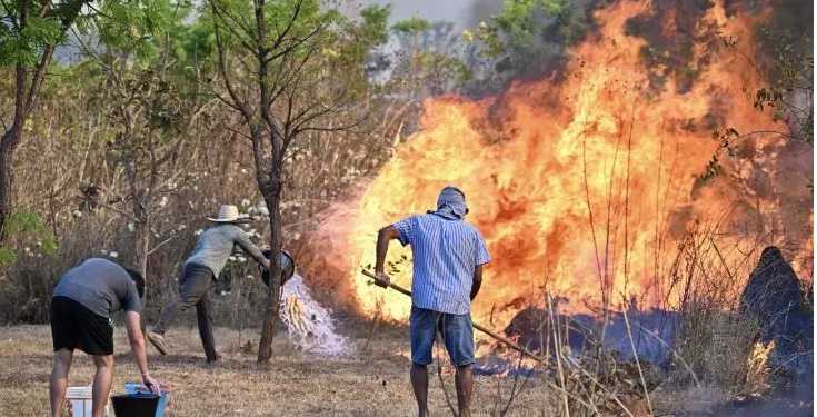 Vague d’incendies au Brésil : Les flammes touchent le parc national de Brasilia 2 - Le Progrès Egyptien Vague d’incendies au Brésil : Les flammes touchent le parc national de Brasilia 1 - Le Progrès Egyptien