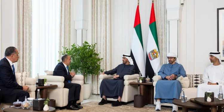 Le Président des Emirats arabes unis reçoit le chef de la diplomatie égyptienne 1 - Le Progrès Egyptien