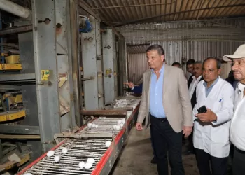 Daqahliya : Atelier de travail sur le soutien aux petits agriculteurs