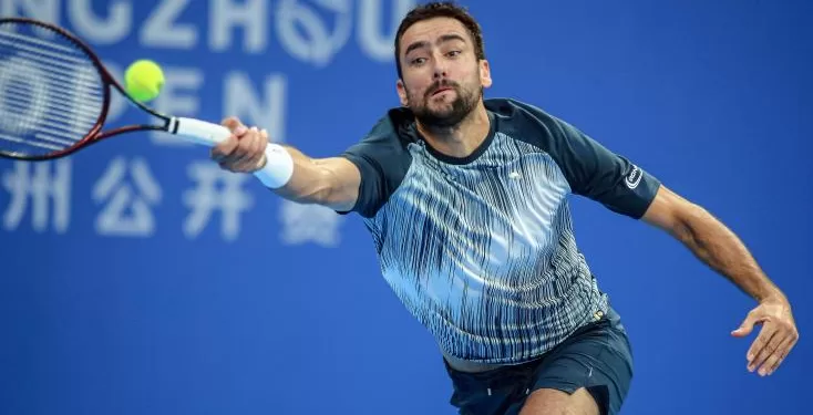 Tennis : Cilic s'impose à Hangzhou, son premier titre depuis trois ans 1 - Le Progrès Egyptien