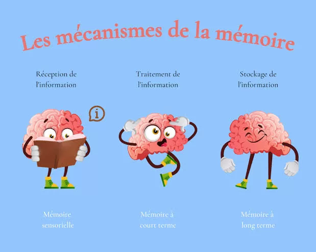 Les méandres de la mémoire : Une odyssée neuronale 6 - Le Progrès Egyptien Les méandres de la mémoire : Une odyssée neuronale 5 - Le Progrès Egyptien
