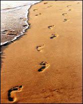 Le Prophète Mohammed, un modèle à suivre