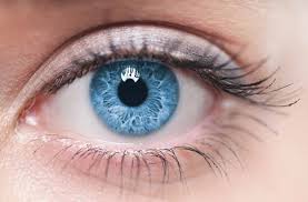 Voici la couleur des yeux des personnes les plus intelligentes 15 - Le Progrès Egyptien