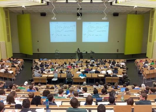 Première année à l’université : Une nouvelle expérience 10 - Le Progrès Egyptien Première année à l’université : Une nouvelle expérience 9 - Le Progrès Egyptien