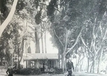 Zamalek, un quartier vibrant haut en couleurs