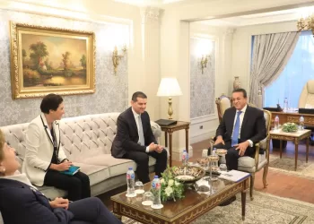 Santé : Promouvoir les partenariats égypto-chypriotes