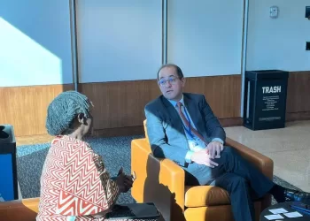 L’Egypte aspire à renforcer les marchés financiers africains