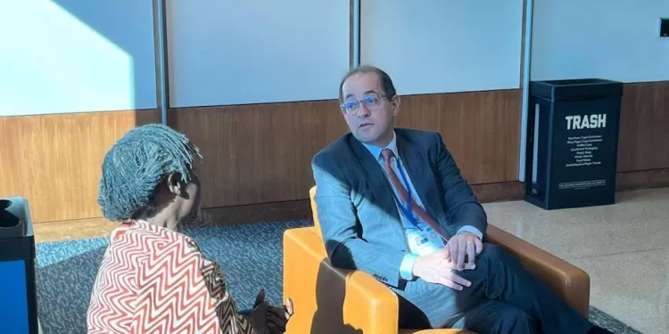 L’Egypte aspire à renforcer les marchés financiers africains 1 - Le Progrès Egyptien