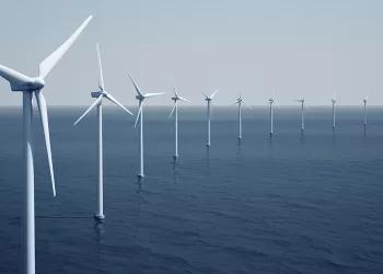 Eolien en mer : Quels impacts sur la biodiversité?