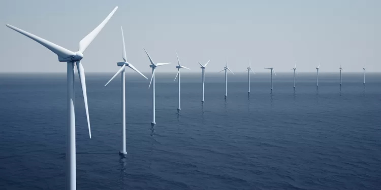 Eolien en mer : Quels impacts sur la biodiversité? 1 - Le Progrès Egyptien