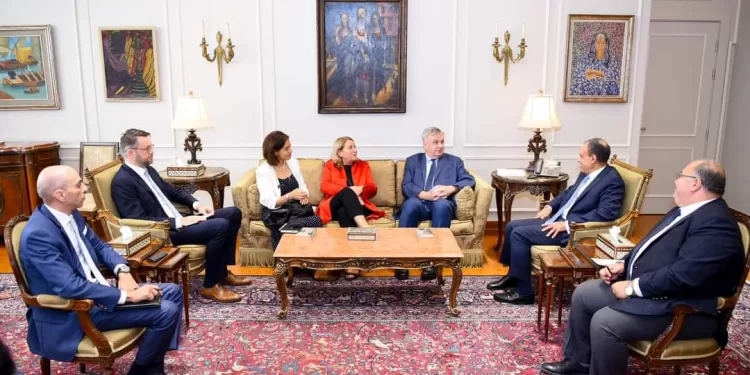 Le ministre des AE reçoit la directrice exécutive de la Chambre arabo-allemande de l'Industrie et du Commerce 1 - Le Progrès Egyptien