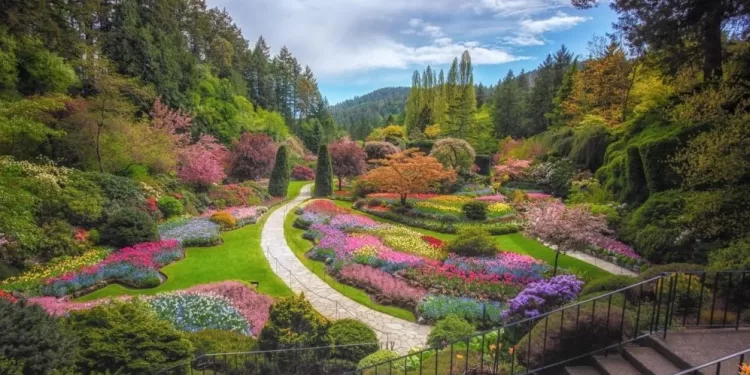 A la découverte des plus beaux jardins 2 - Le Progrès Egyptien A la découverte des plus beaux jardins 1 - Le Progrès Egyptien