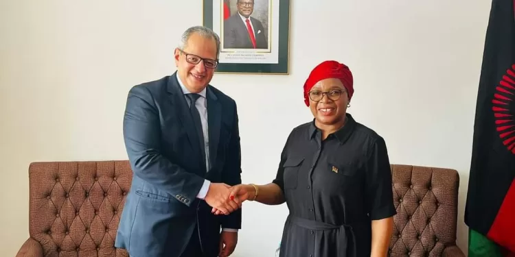 Nouvel élan des relations entre l'Égypte et le Malawi 1 - Le Progrès Egyptien
