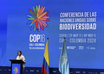 Biodiversité : A Cali, une COP16 pour passer de la parole aux actes