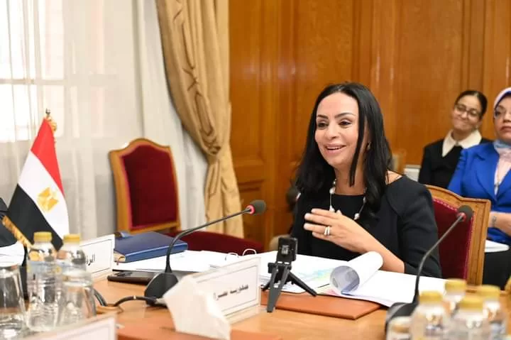 Maya Morsy à la 80e session du bureau exécutif du Conseil des ministres arabes des Affaires sociales 3 - Le Progrès Egyptien