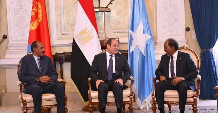 Sommet Egypte-Érythrée-Somalie 1 - Le Progrès Egyptien