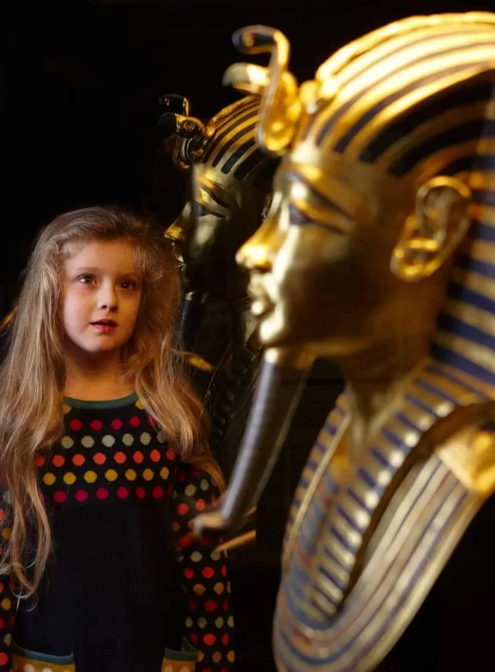 GME :12 salles principales ouvertes au public 4 - Le Progrès Egyptien GME :12 salles principales ouvertes au public 3 - Le Progrès Egyptien