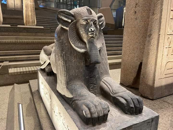 GME :12 salles principales ouvertes au public 14 - Le Progrès Egyptien GME :12 salles principales ouvertes au public 13 - Le Progrès Egyptien