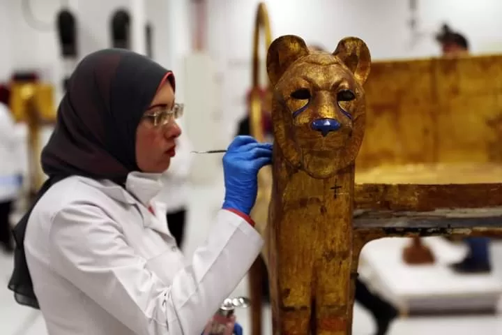 GME :12 salles principales ouvertes au public 10 - Le Progrès Egyptien GME :12 salles principales ouvertes au public 9 - Le Progrès Egyptien