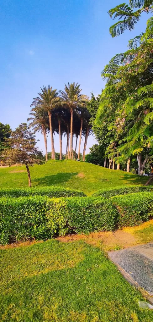 Le parc d’Al-Azhar, une oasis paisible dans une métropole grouillante ! 18 - Le Progrès Egyptien Le parc d’Al-Azhar, une oasis paisible dans une métropole grouillante ! 17 - Le Progrès Egyptien