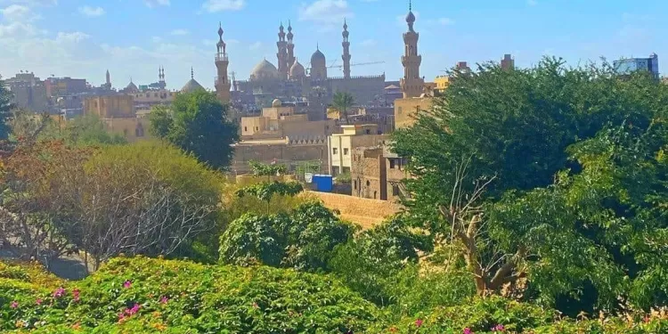 Le parc d’Al-Azhar, une oasis paisible dans une métropole grouillante ! 1 - Le Progrès Egyptien