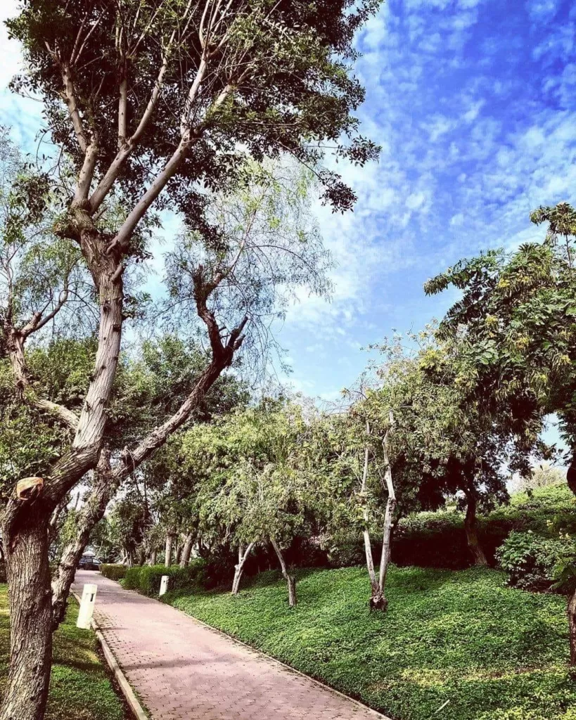 Le parc d’Al-Azhar, une oasis paisible dans une métropole grouillante ! 12 - Le Progrès Egyptien Le parc d’Al-Azhar, une oasis paisible dans une métropole grouillante ! 11 - Le Progrès Egyptien