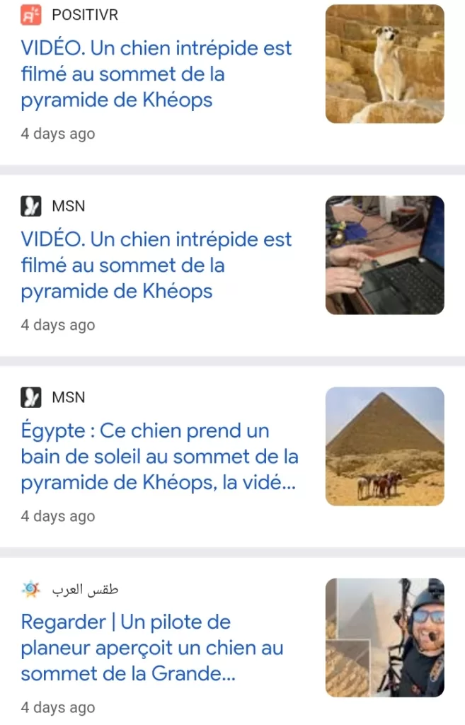 Un chien fait la Une de la presse 5 - Le Progrès Egyptien