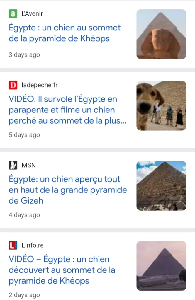 Un chien fait la Une de la presse 1 - Le Progrès Egyptien