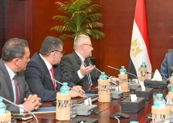 Soutien à la société Sumitomo Electric Egypt