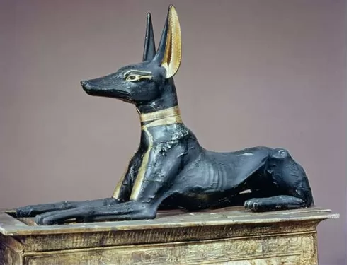 Un chien s'offre une balade au sommet de la pyramide de Khéops 14 - Le Progrès Egyptien Un chien s'offre une balade au sommet de la pyramide de Khéops 13 - Le Progrès Egyptien