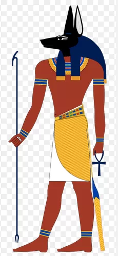 Un chien s'offre une balade au sommet de la pyramide de Khéops 12 - Le Progrès Egyptien Un chien s'offre une balade au sommet de la pyramide de Khéops 11 - Le Progrès Egyptien