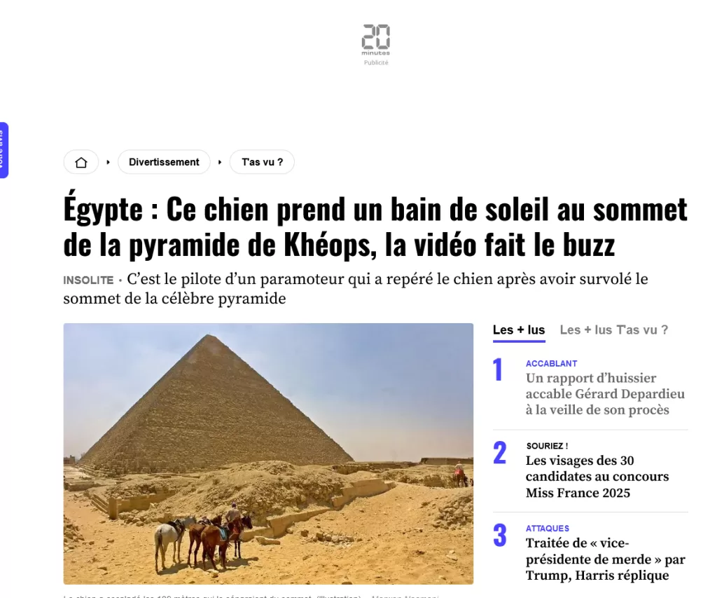 Un chien s'offre une balade au sommet de la pyramide de Khéops 18 - Le Progrès Egyptien Un chien s'offre une balade au sommet de la pyramide de Khéops 17 - Le Progrès Egyptien