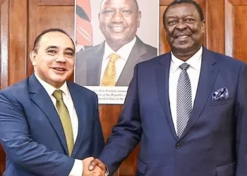 Le Caire favorable au renforcement de la coopération avec le Kenya