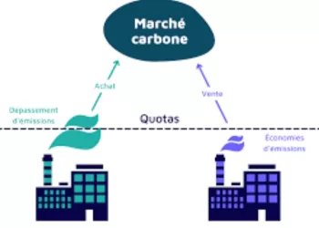 Premier marché de crédits carbone 