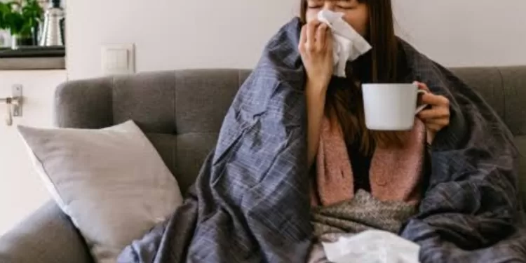 Quelle plante efficace pour soulager le rhume? 2 - Le Progrès Egyptien Quelle plante efficace pour soulager le rhume? 1 - Le Progrès Egyptien