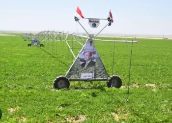 Création d’un réseau électrique du projet agricole égyptien 