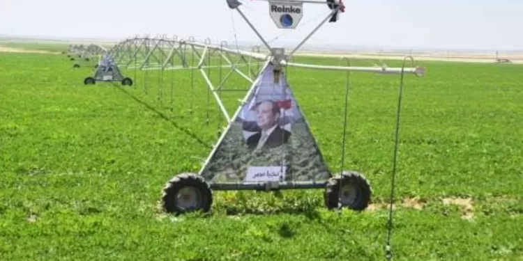 Création d'un réseau électrique du projet agricole égyptien  1 - Le Progrès Egyptien