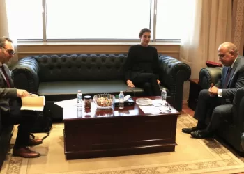 Egypte-Chypre : Examen du projet de l’interconnexion électrique