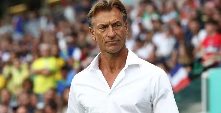 Arabie saoudite : Renard de retour comme sélectionneur 1 - Le Progrès Egyptien