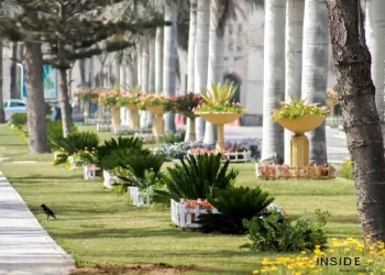 Les parcs à découvrir en Egypte 