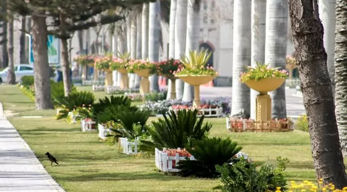 Les parcs à découvrir en Egypte  1 - Le Progrès Egyptien