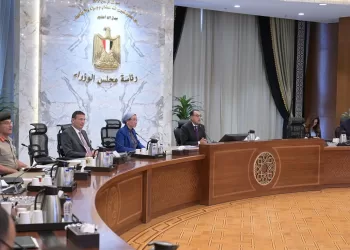 Madbouli suit les préparatifs de la participation à la COP 29