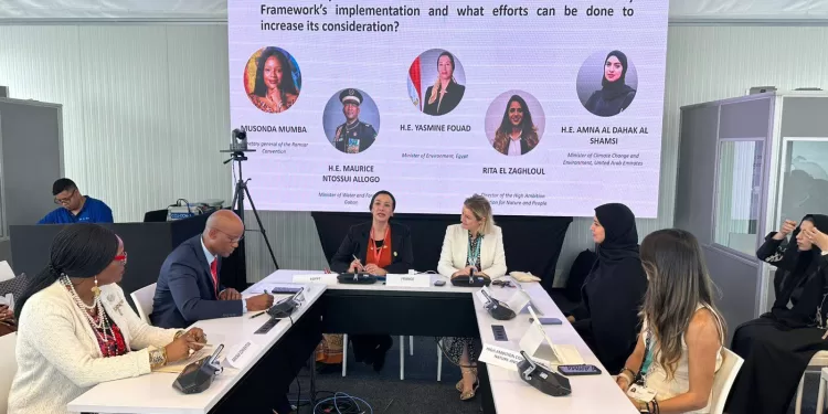 Pour la première fois dans l'histoire des conférences sur le climat, l'eau est priorisée 1 - Le Progrès Egyptien