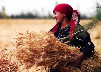 Les « femmes rurales » réservent une place de choix dans la « Nouvelle République »