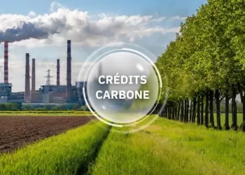 Les marchés du carbone essentiels pour l’élimination des GES