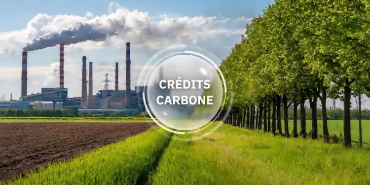 Les marchés du carbone essentiels pour l'élimination des GES 1 - Le Progrès Egyptien
