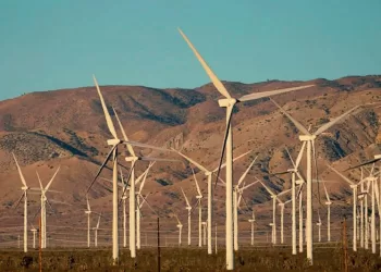 Energies renouvelables : Suivi du plan option 2040