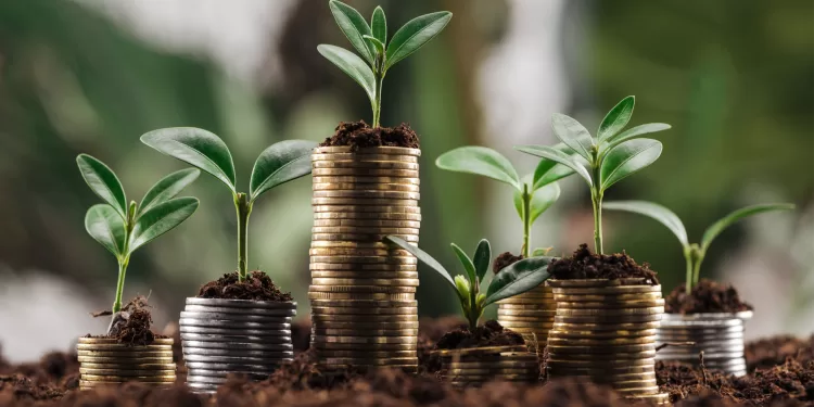 Augmenter à 75% les investissements verts d’ici 2030 2 - Le Progrès Egyptien Augmenter à 75% les investissements verts d’ici 2030 1 - Le Progrès Egyptien