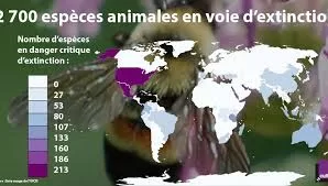 Les espèces en voie de disparition : peut-on encore les sauver ? 4 - Le Progrès Egyptien Les espèces en voie de disparition : peut-on encore les sauver ? 3 - Le Progrès Egyptien